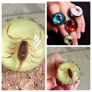 3/$22🩶  Real Resin Scorpion Adjustable Ring Bugs Southwestern Western Size 8